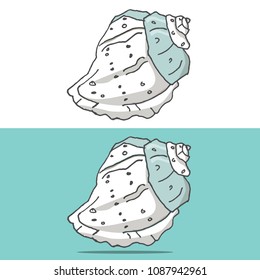 Cockleshell illustration vector geometric drawing shell font color element sea ocean life blue texture font top view clip art on white background