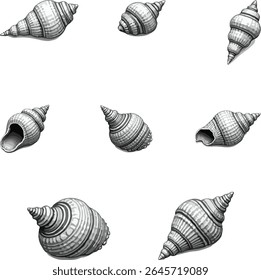 cockleshell sets. vector art of sea shell. portrait bundle of cockleshell