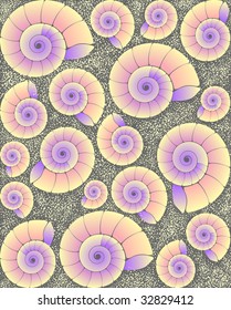 cockleshells on the beach