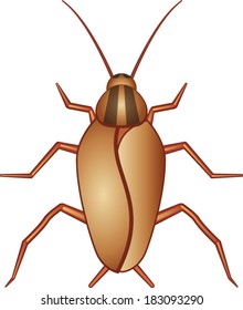 Cockroach