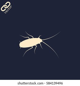 cockroach