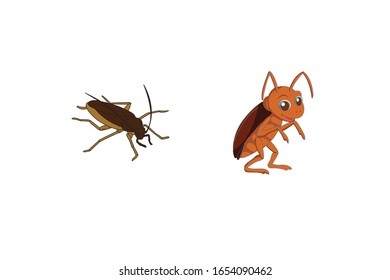 Cockroach Animal Cartoon Vector Illustration