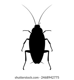 Cockroach animal silhouette. Vector image