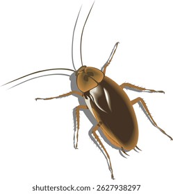 A cockroach is any of a group of common insects in the order Blattodea that are among the most primitive living winged insects.