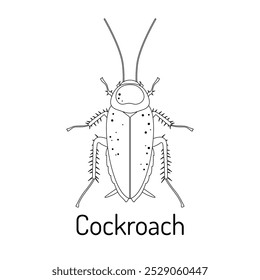 Cockroach. Arthropod insects. Fauna coloring book. Graphic sketch of an isolated beetle with title. Vector illustration.