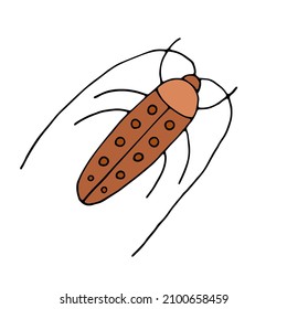 Cockroach. Beetle. Insect. Doodle. Vector. Drawn by hand.