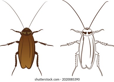 Cockroach or Blattodea Vector Illustration Fill and Outline Isolated on White Background. Insects Bugs Worms Pest and Flies.Entomology or Pest Control Business graphic elements.