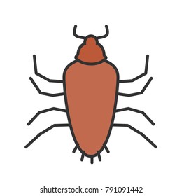 Cockroach, brown, pest