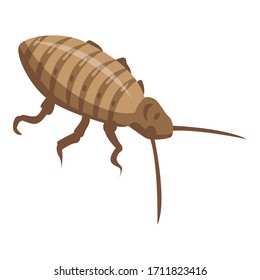 Cockroach bug icon. Isometric of cockroach bug vector icon for web design isolated on white background