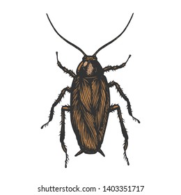 Cockroach bug insect color sketch line art engraving vector illustration. Scratch board style imitation. Black and white hand drawn image.