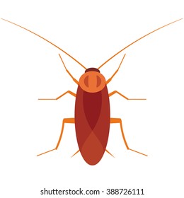 Cockroach bug vector illustration isolated on a white background.