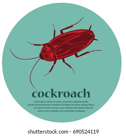  Cockroach  cartoon . vector illustration.