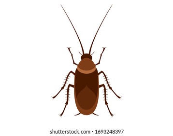 Vector de icono de color de cucaracha. Cucaracha aislada en un fondo blanco. Desagradable imagen prediseñada de insectos. Vector de cucarachas