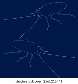 Cockroach contour, line style . Vector illustration