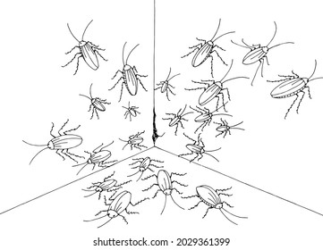 Cockroach crawling out of the corner graphic black white sketch illustration vector