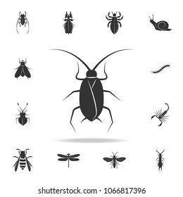 cockroach. Detailed set of insects items icons. Premium quality graphic design. One of the collection icons for websites, web design, mobile app on white background