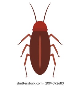 cockroach flat clipart vector illustration