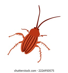 Cockroach. Flat vector illustration on white background.