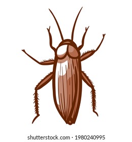 Cockroach hand drawn icon. Insect, home, house parasite pictogram. Pest control, prevention, removal, extermination, fumigation, disinfection services. Vector illustration isolated on white.