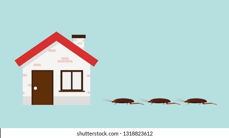 cockroach and house vector. wallpaper. free space for text. copy space.