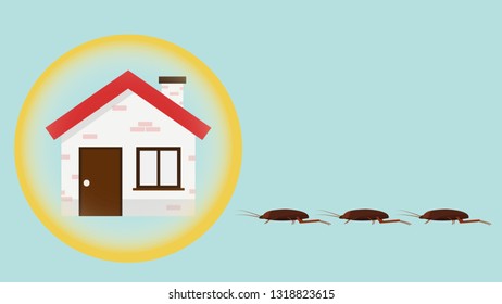 cockroach and house vector. wallpaper. free space for text. copy space.
