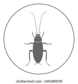 Cockroach icon. Bug symbol. Vector.