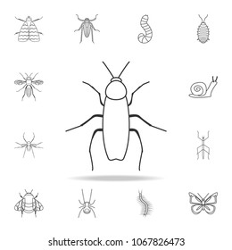 cockroach icon. Detailed set of insects line illustrations. Premium quality graphic design icon. One of the collection icons for websites, web design, mobile app on white background