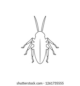 cockroach icon. Element of insect for mobile concept and web apps icon. Thin line icon for website design and development, app development