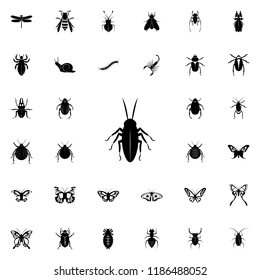 cockroach icon. insect icons universal set for web and mobile