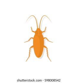 Cockroach icon, isolated on white background. Kitchen bug. Unhygienic concept. Vector illustration flat design.