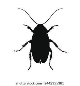Cockroach Icon on White Background. Vector