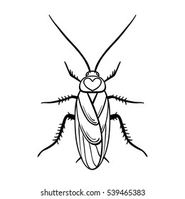 Cockroach icon in outline style isolated on white background. Insects symbol stock vector illustration.