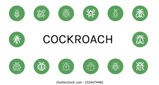 cockroach icon set. Collection of Madagascar hissing cockroach, Bug, Bed bug, Acari, Stonefly, Moth, Ladybug, Stink bug, Earwig icons