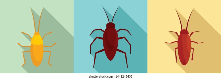 Cockroach icons set. Flat set of cockroach vector icons for web design