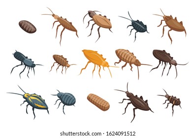 Cockroach icons set. Isometric set of cockroach vector icons for web design isolated on white background