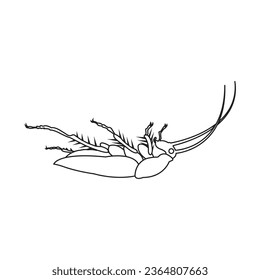Cockroach icon,vector illustration logo design