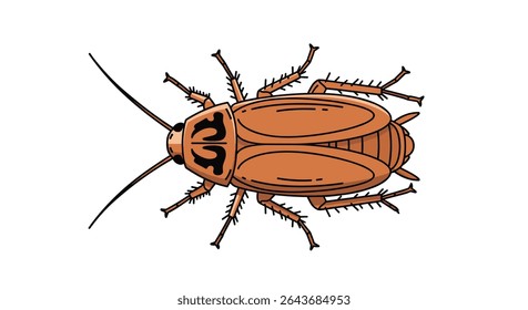 Cockroach Infestation Management Strategies Cockroach Prevention and Control Cockroach Extermination Methods and Solutions