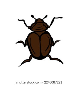 Cockroach insect animal vector icon design
