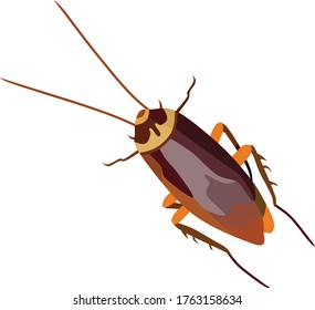 Ilustración del vector animal de insectos de cucaracha