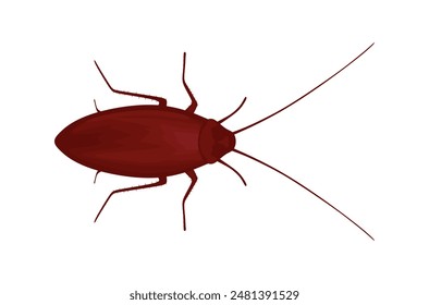 Insecto cucaracha en estilo de dibujos animados. Cucaracha aislada sobre fondo blanco, vista superior, control de plagas. Parásito de plaga. Concepto de higiene y enfermedad. animal sucio. Ilustración vectorial plana de color