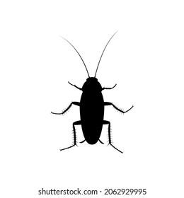Cockroach insect icon isolated on white background, Pest bug silhouette top view. Flat body parasite pollution, roaches vector illustration