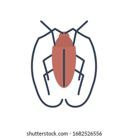 cockroach insect icon over white background, flat style, vector illustration