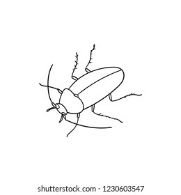 cockroach Insect illustration, drawing, ink, line art, vector