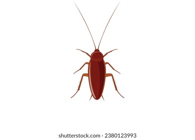 Cockroach insect isolated on white background, Dirty cockroach pest icon for stock.