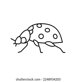 cockroach insect line icon vector. cockroach insect sign. isolated contour symbol black illustration