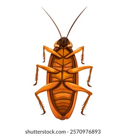 Cockroach Insect Upside Down Cartoon Illustration Vector