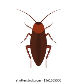 Cockroach insect vector icon above pest. Brown animal top view cartoon bug. Flat body parasite pollution 