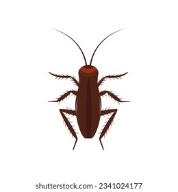 Cockroach insect vector icon above pest. Brown animal top view cartoon bug. Flat body parasite pollution