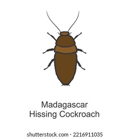 Cockroach insect vector icon.Color vector icon isolated on white background cockroach insect.