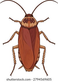 Cockroach Insect Wildlife Bug Design